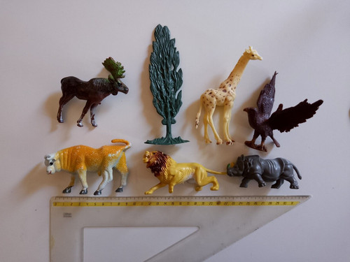 Animali savana vari - savana-,